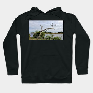 The Last Gasp Hoodie